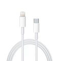 Snellader (USB-C/Lightning)